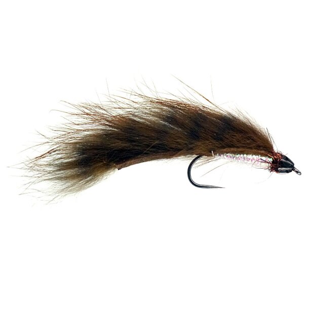 Competition CH Zonker Brown Barred TG